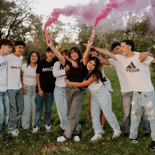 XV Pauli