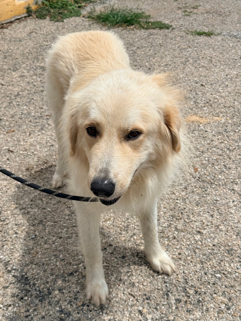 Additional photo of MAX