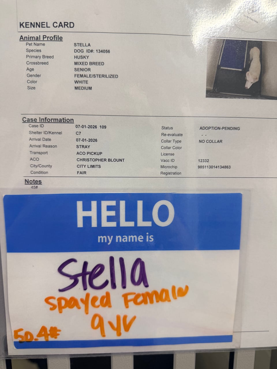 Additional photo of STELLA