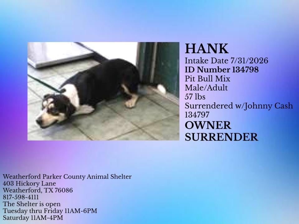 Additional photo of HANK