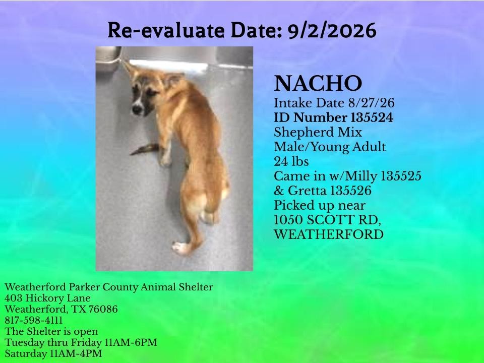 Additional photo of NACHO