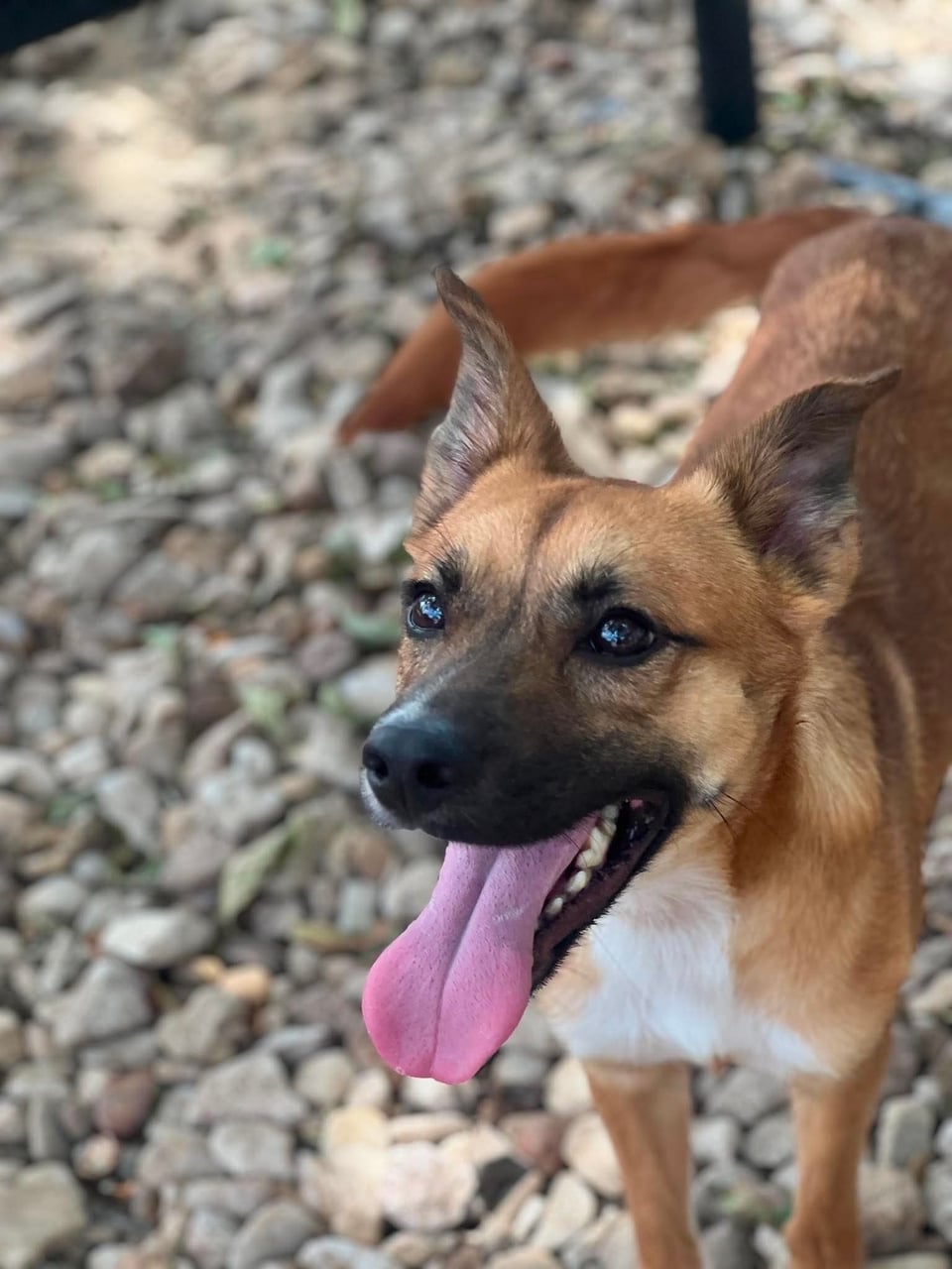 Additional photo of RUBEN
