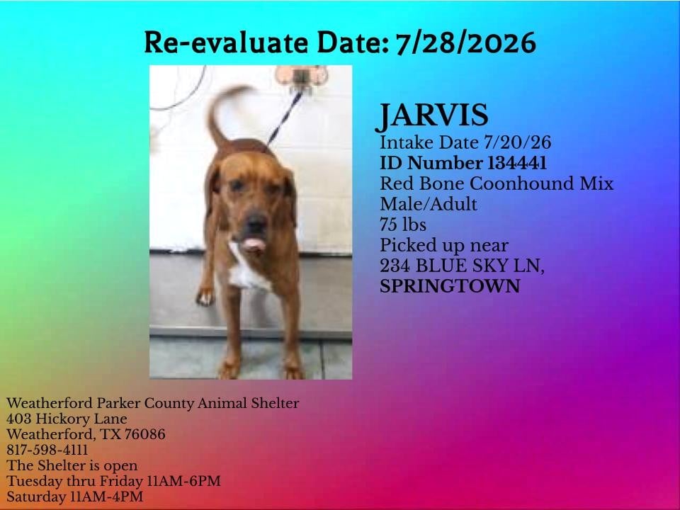 Additional photo of JARVIS
