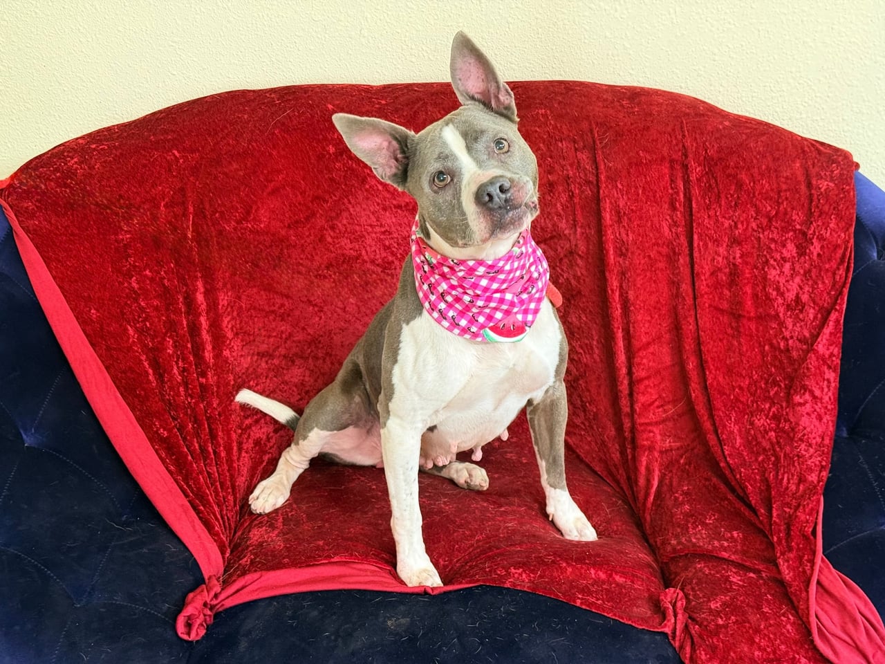 Additional photo of ROXY