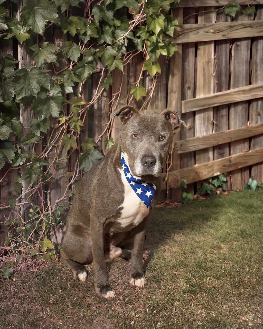 Additional photo of WILBUR