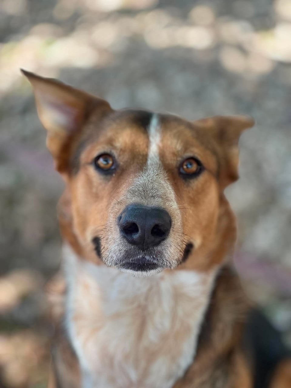 Additional photo of BINGO