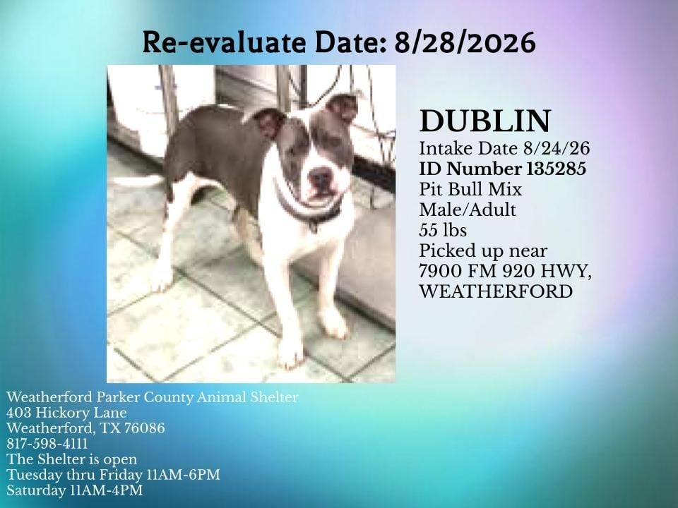 Additional photo of DUBLIN