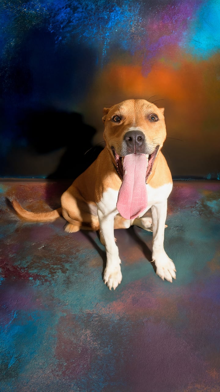 Additional photo of GUMBO