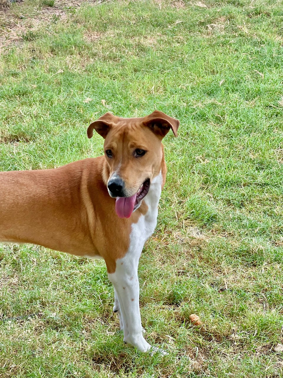 Additional photo of GUMBO