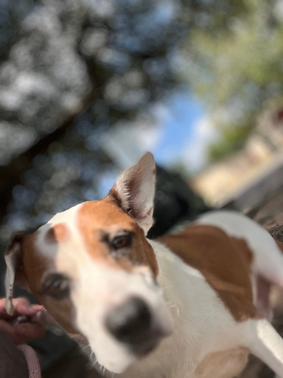 Additional photo of DUNCAN