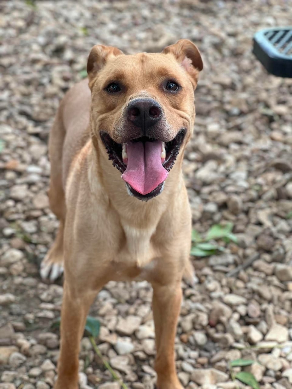Additional photo of CHARLIE