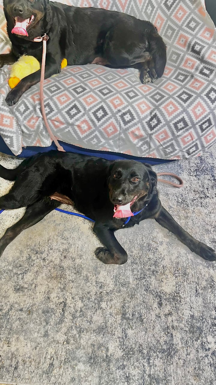 Additional photo of LUCKY