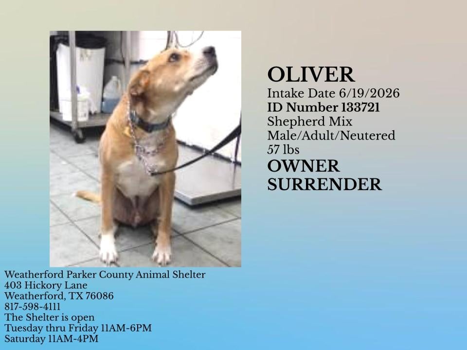 Additional photo of OLIVER