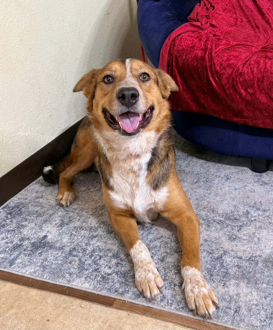 Additional photo of BINGO