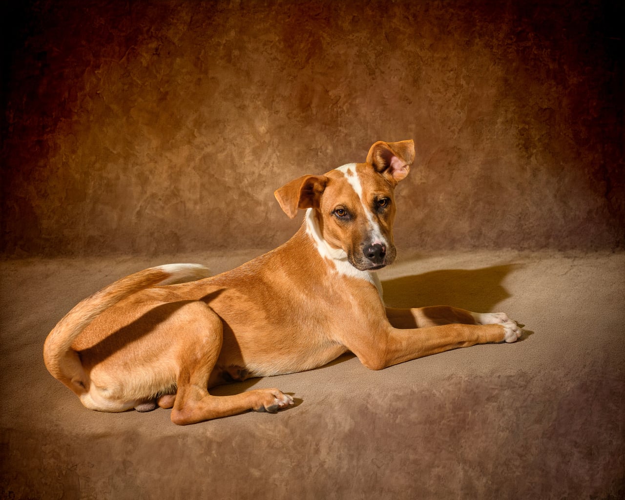 Additional photo of KIDD