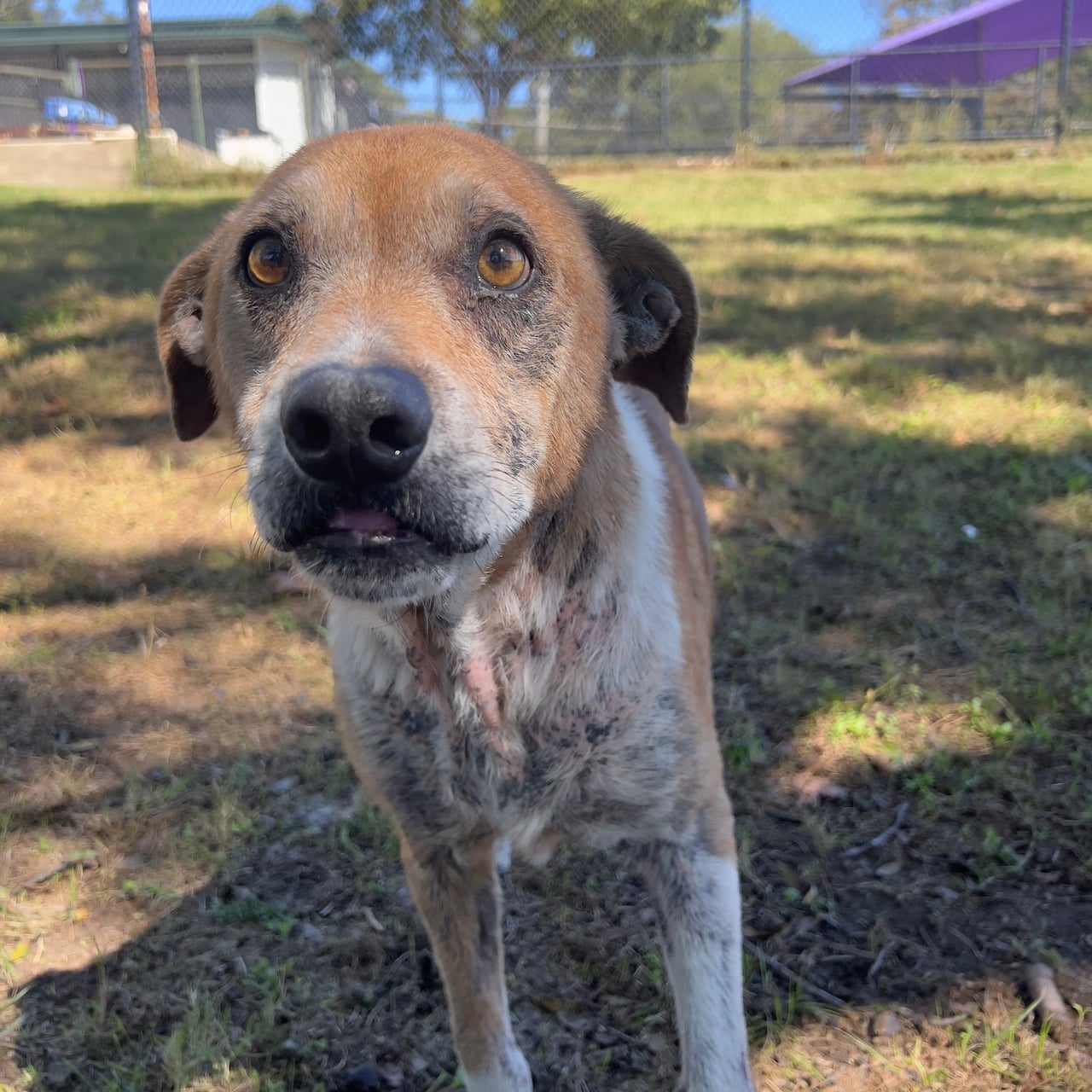 Additional photo of KIP
