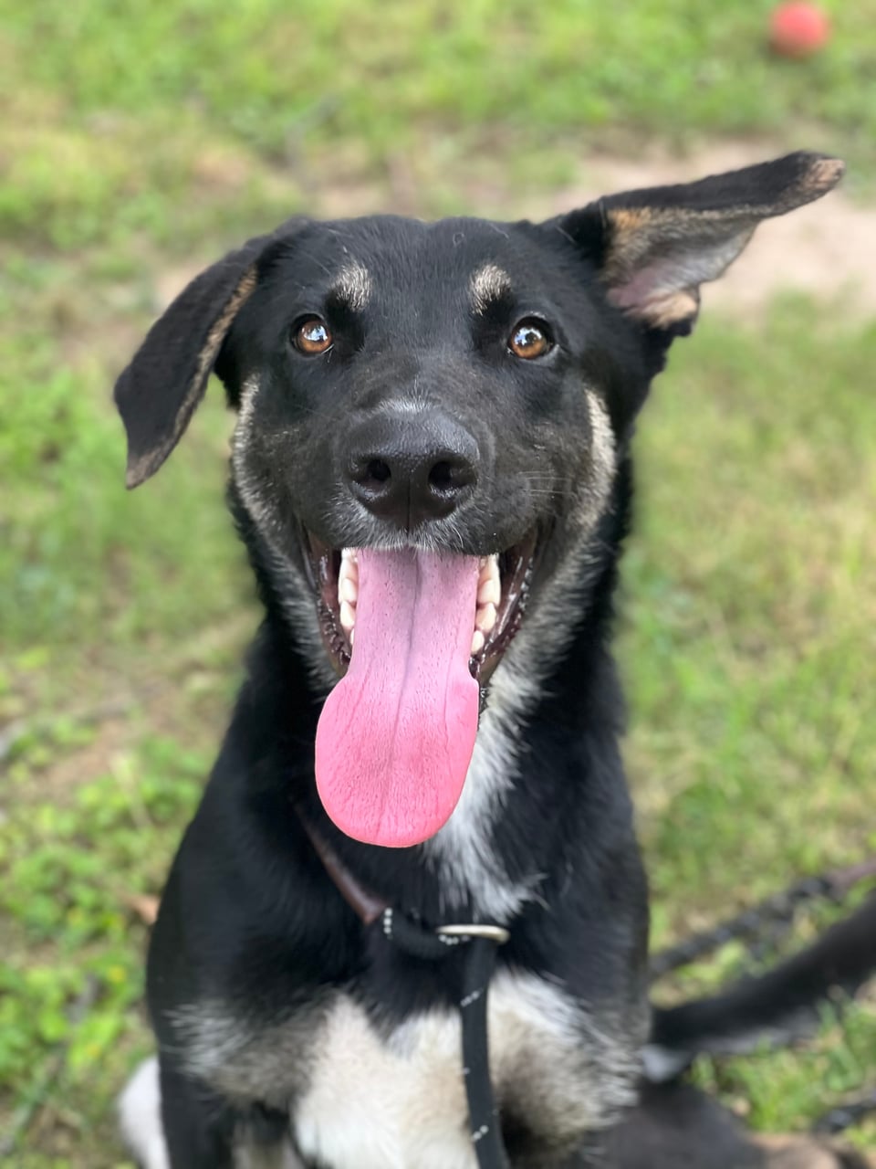 Additional photo of KLAUS