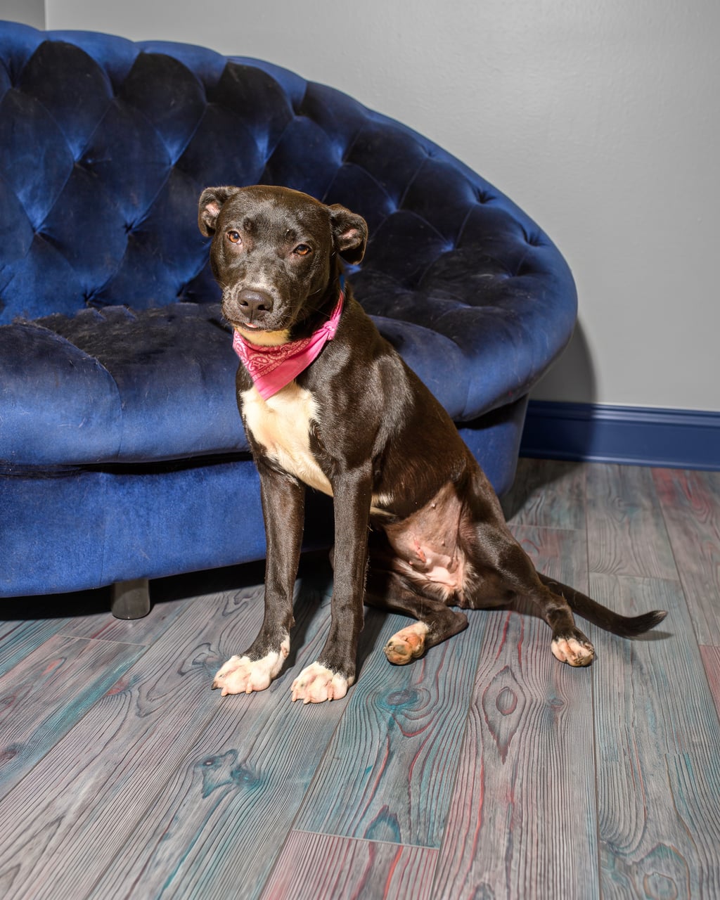 Additional photo of TABITHA
