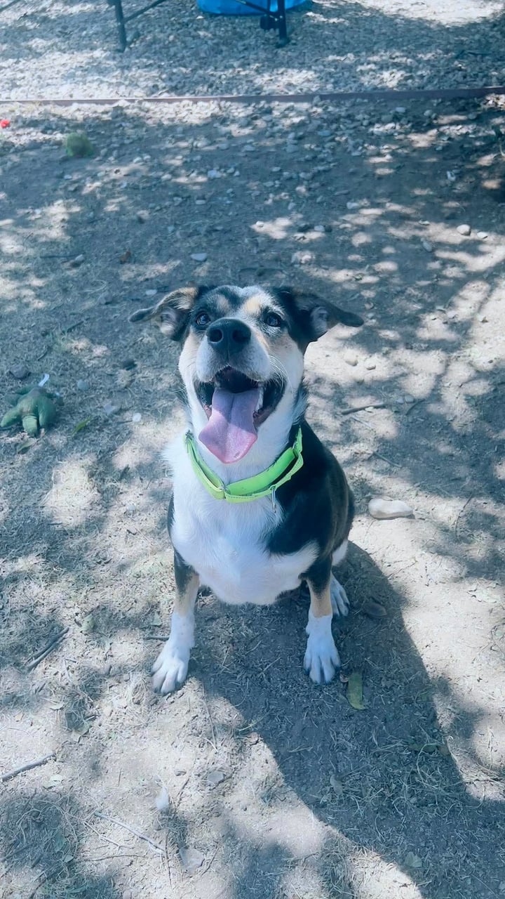 Additional photo of DOBY