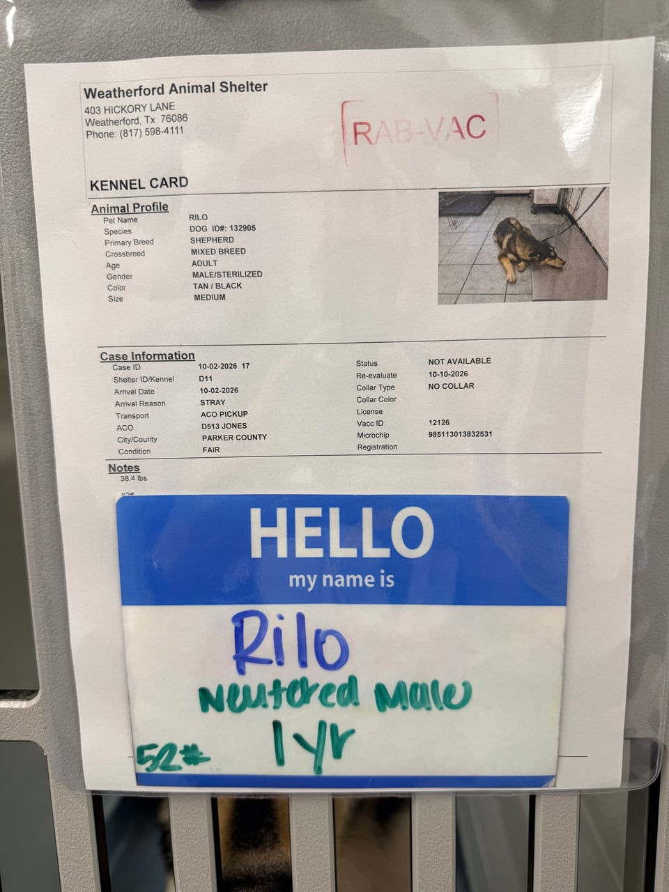 Additional photo of RILO