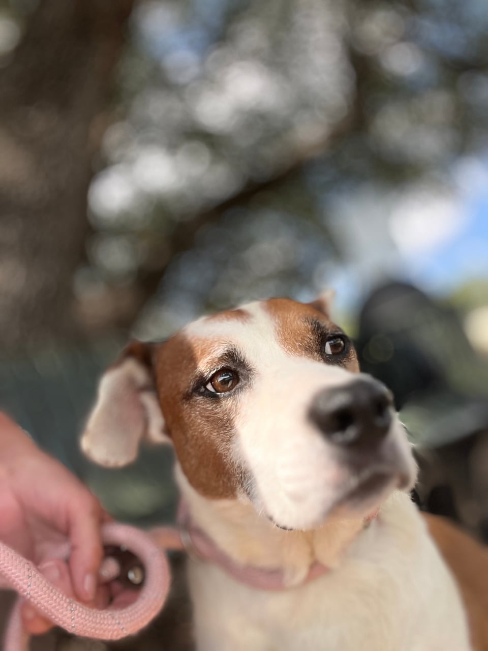 Additional photo of DUNCAN