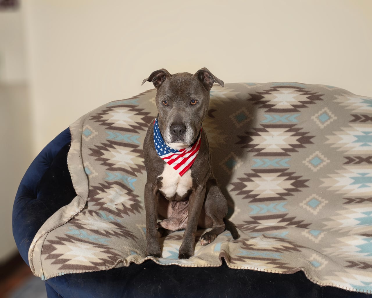 Additional photo of WILBUR