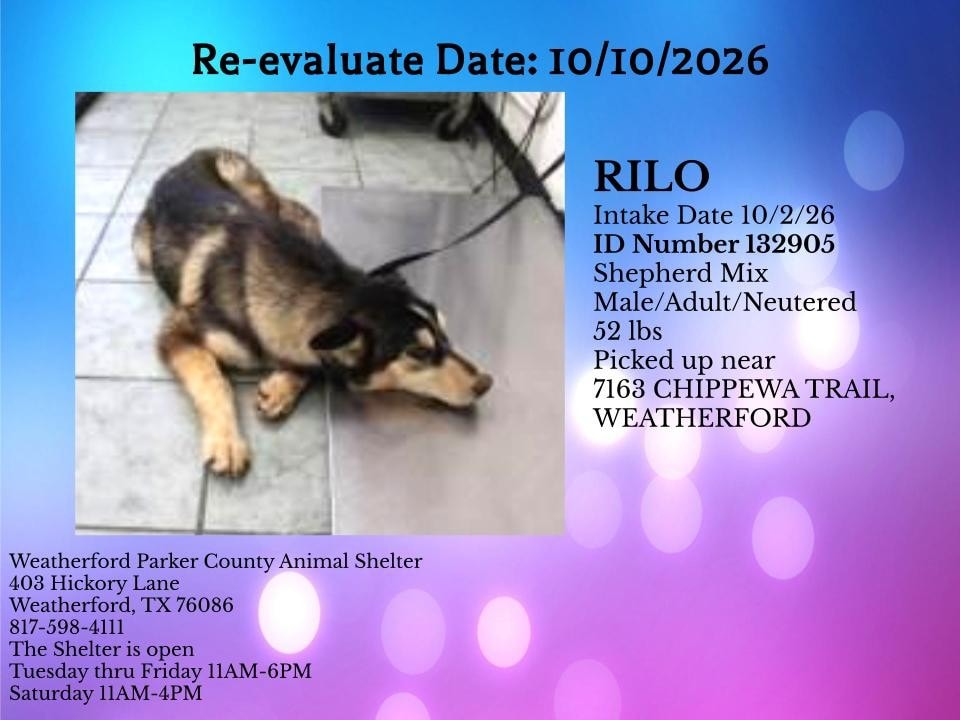 Additional photo of RILO
