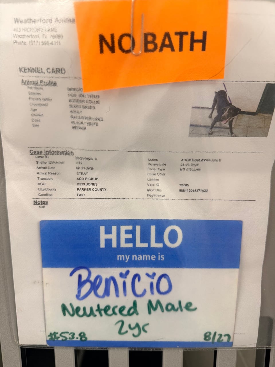 Additional photo of BENICIO