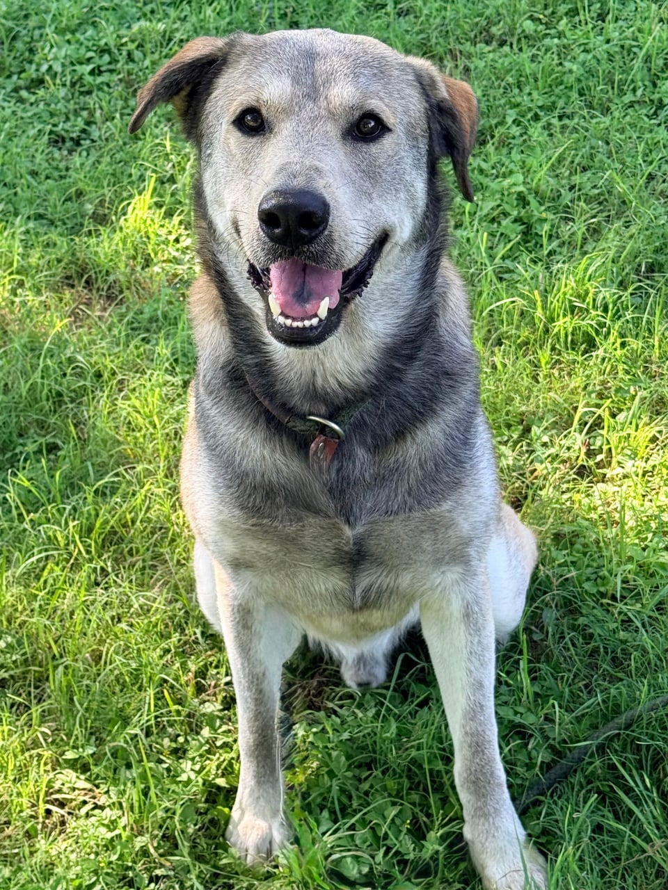 Additional photo of KRAMER