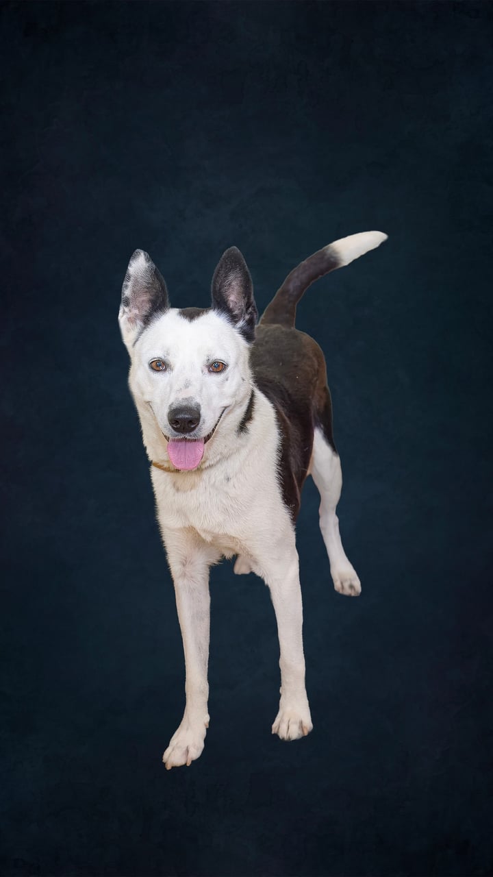 Additional photo of COCO