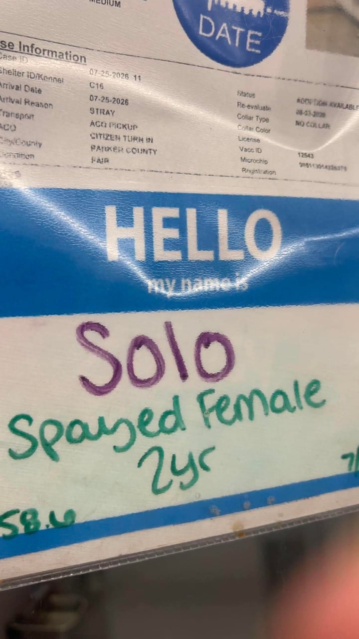 Additional photo of SOLO
