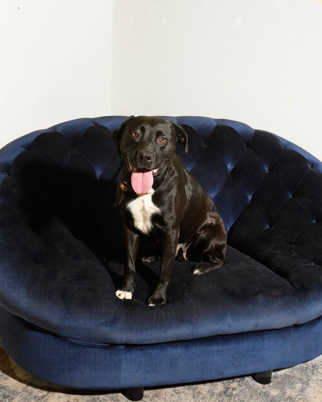 Additional photo of HURLEY