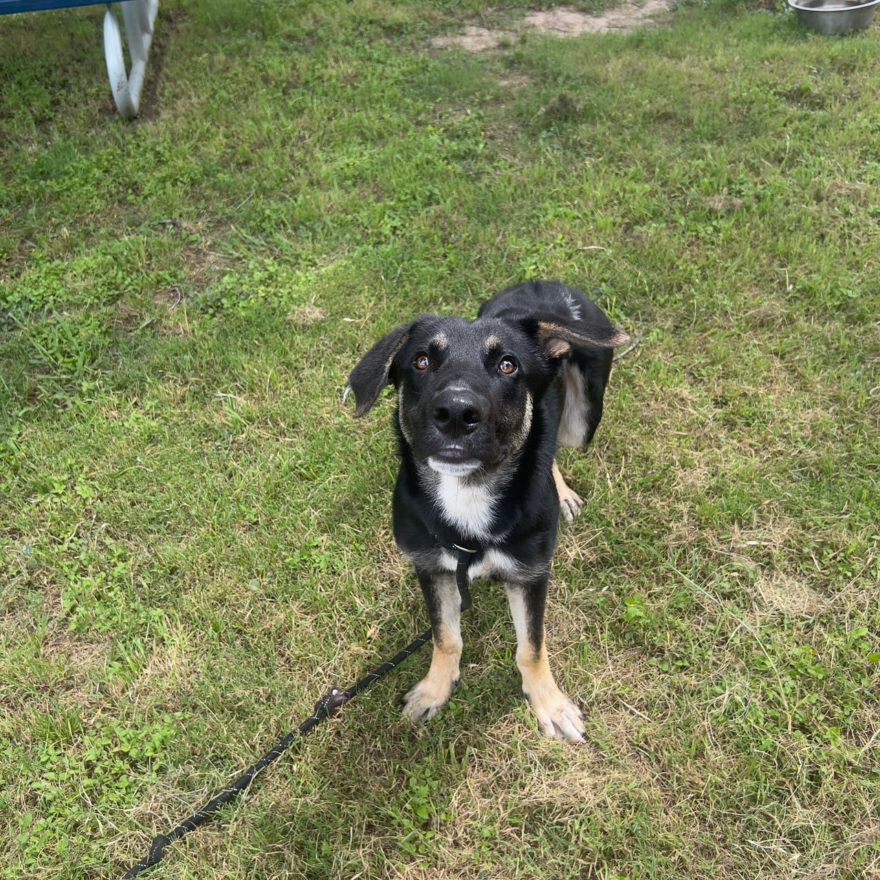 Additional photo of KLAUS