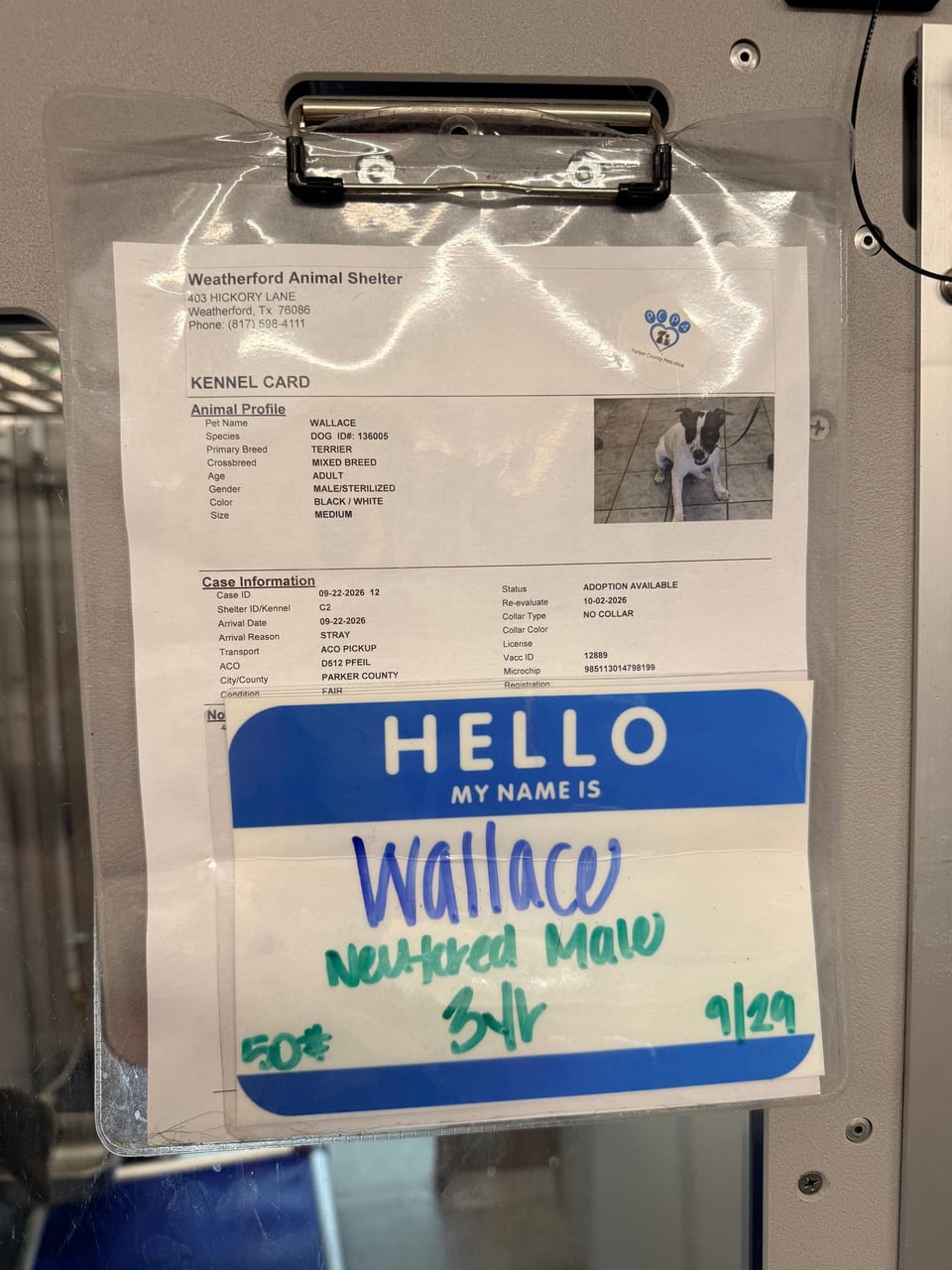 Additional photo of WALLACE