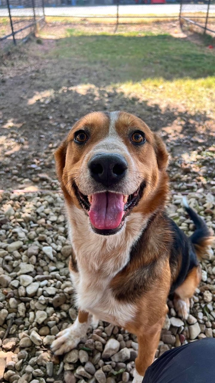 Additional photo of BINGO