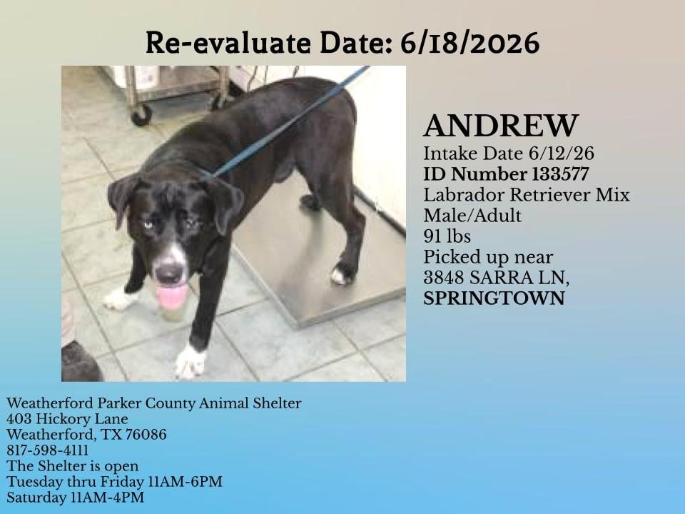 Additional photo of ANDREW