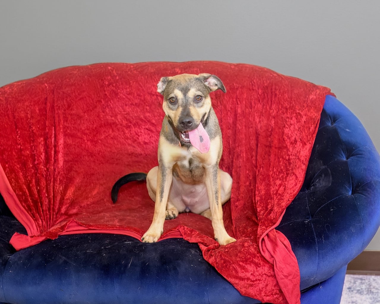 Additional photo of BUBBLICIOUS