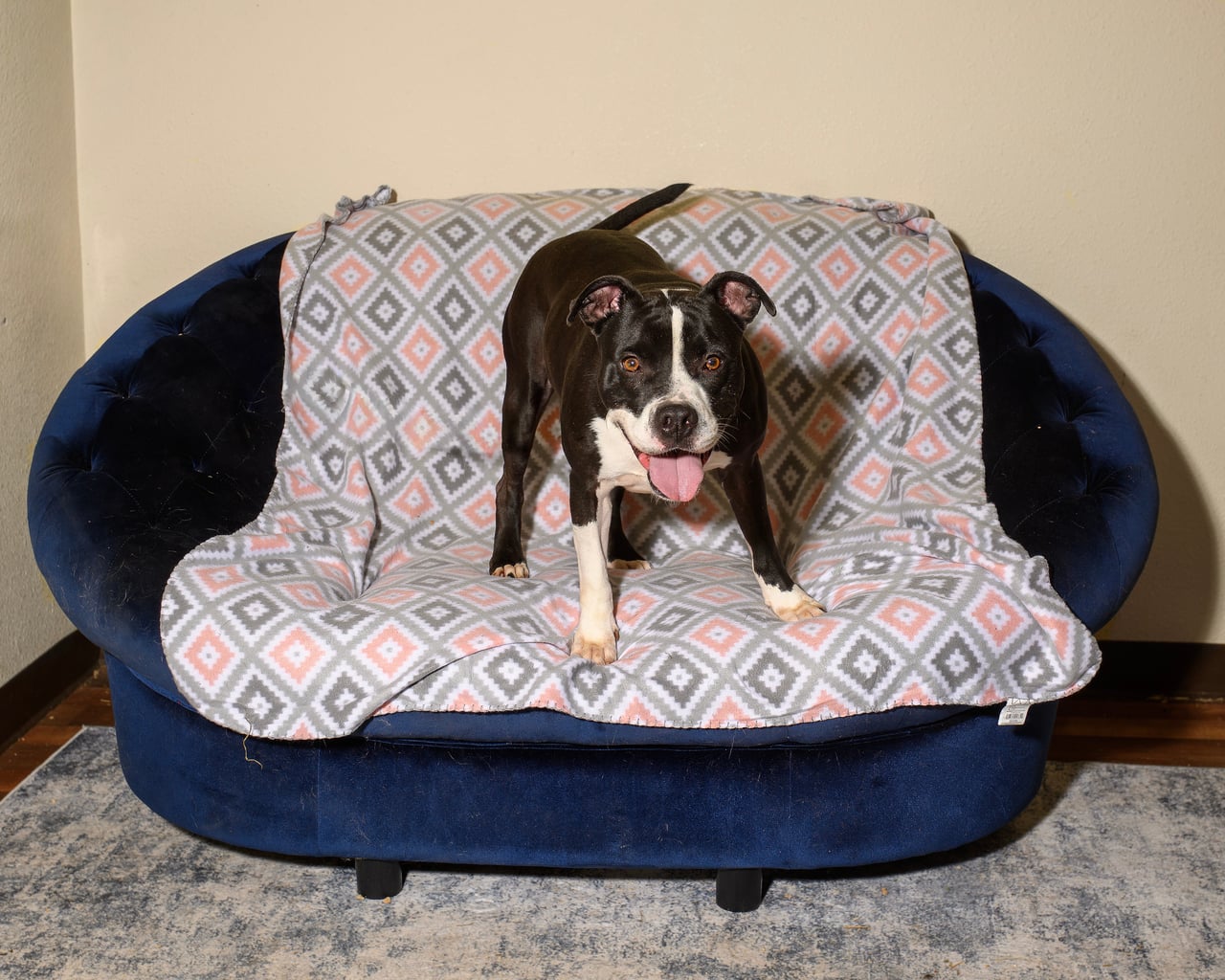Additional photo of ATLAS