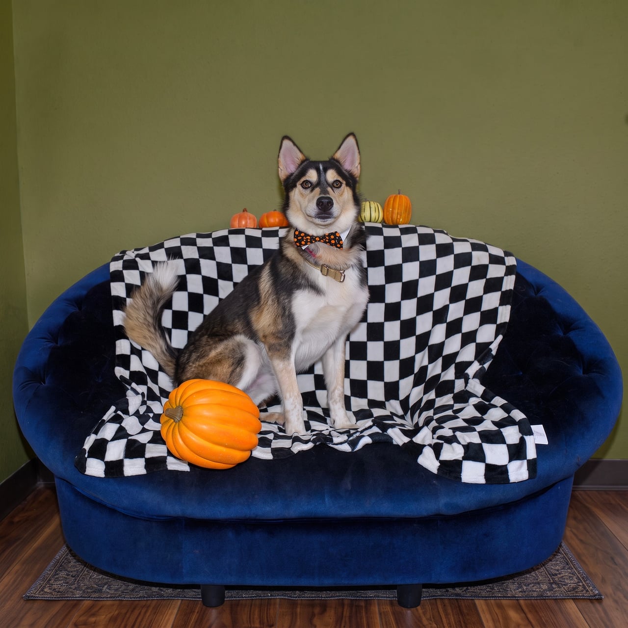 Additional photo of RILO