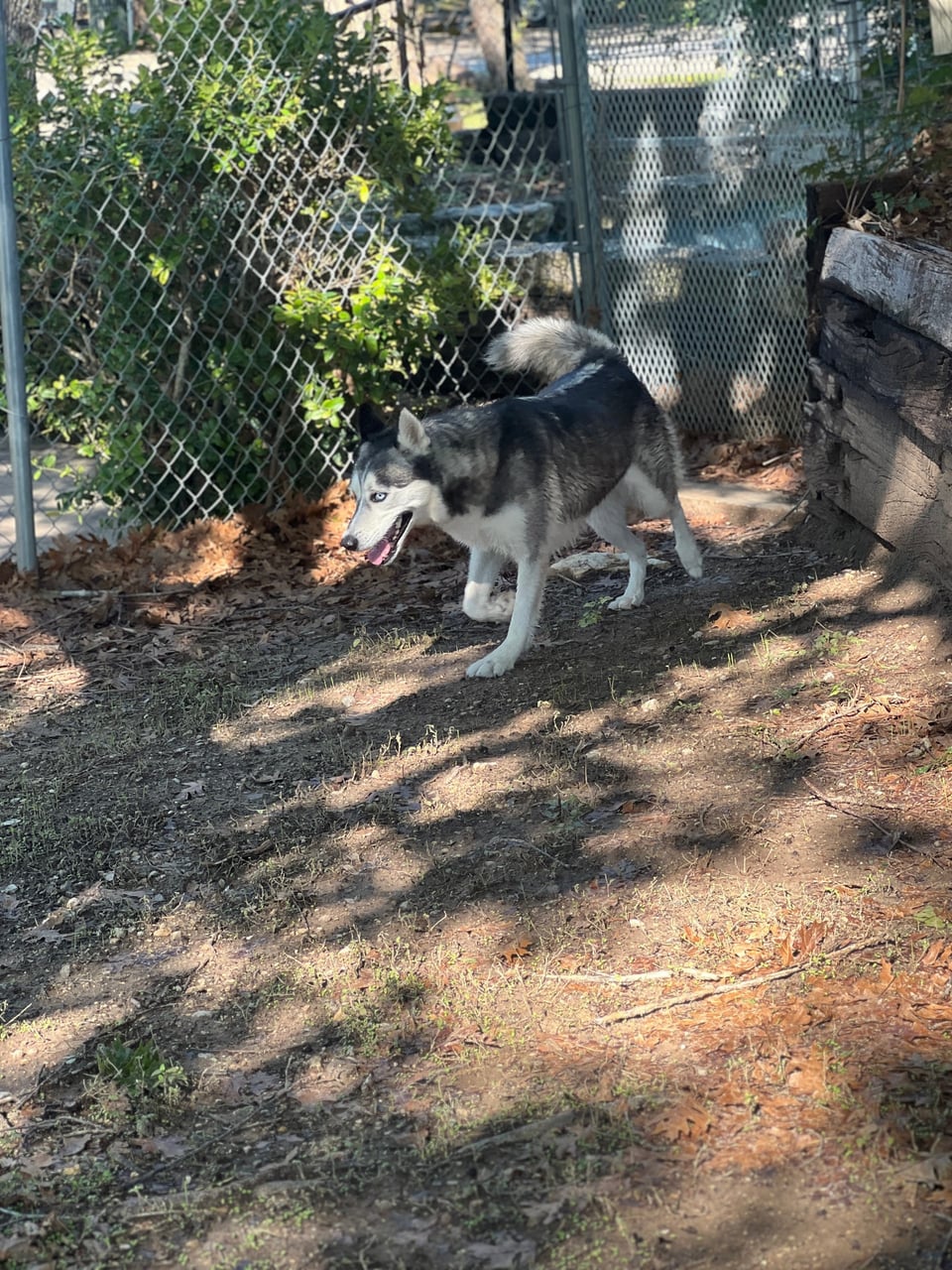 Additional photo of SAGE