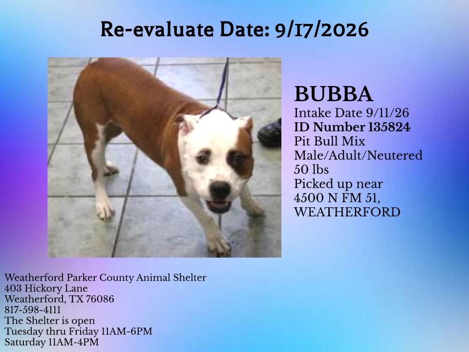 Additional photo of BUBBA