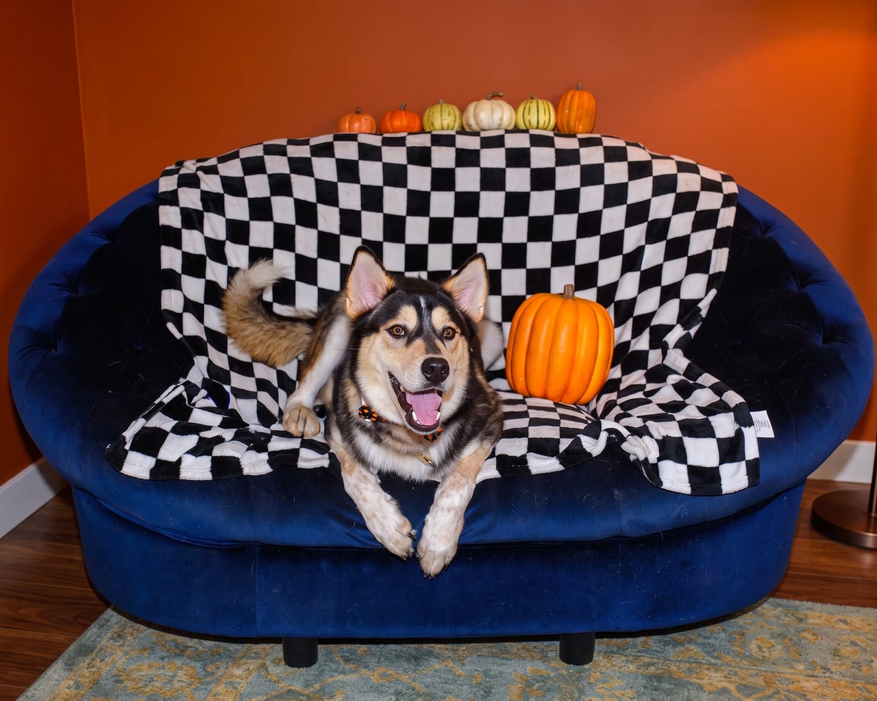 Additional photo of RILO