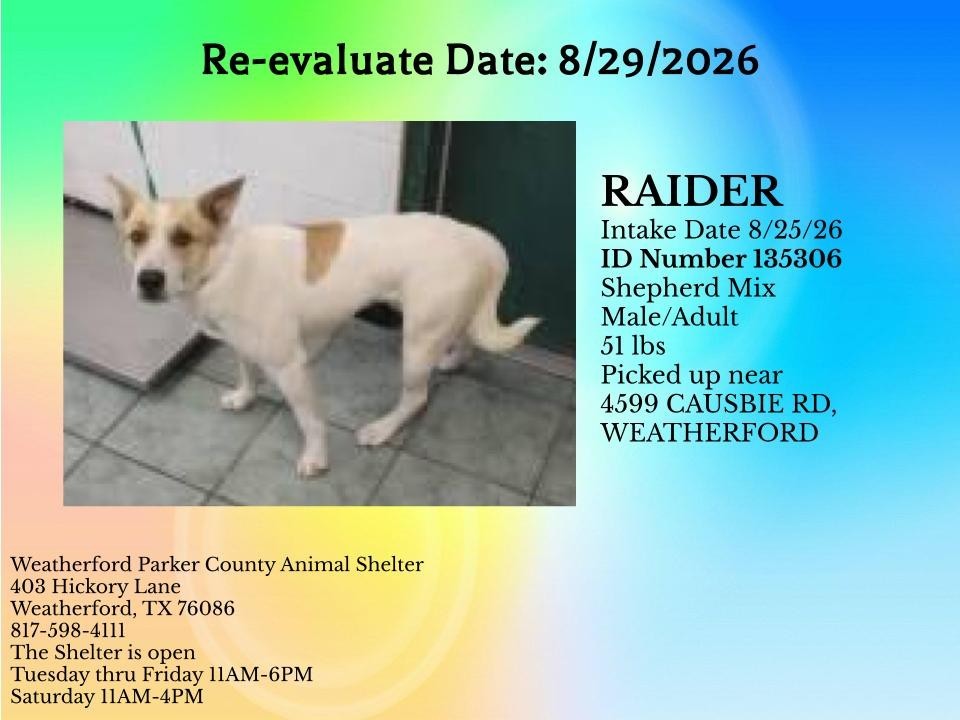 Additional photo of RAIDER