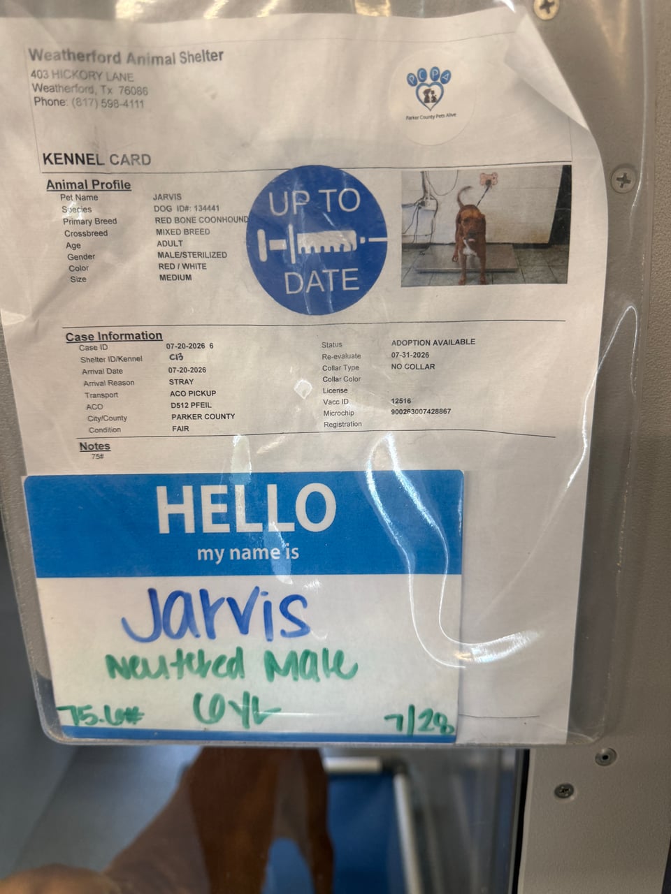 Additional photo of JARVIS