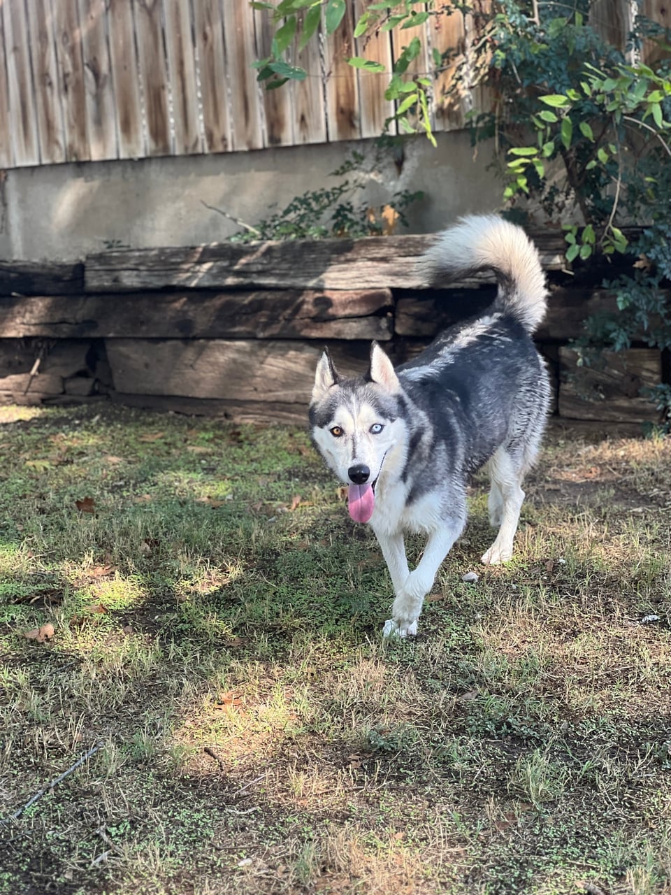 Additional photo of SAGE