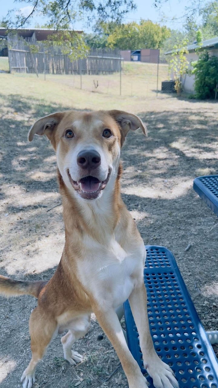 Additional photo of RUGER