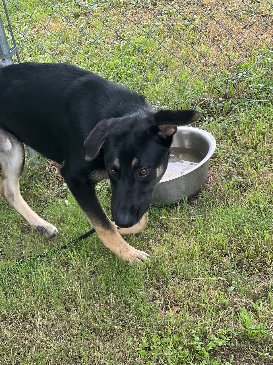 Additional photo of KLAUS