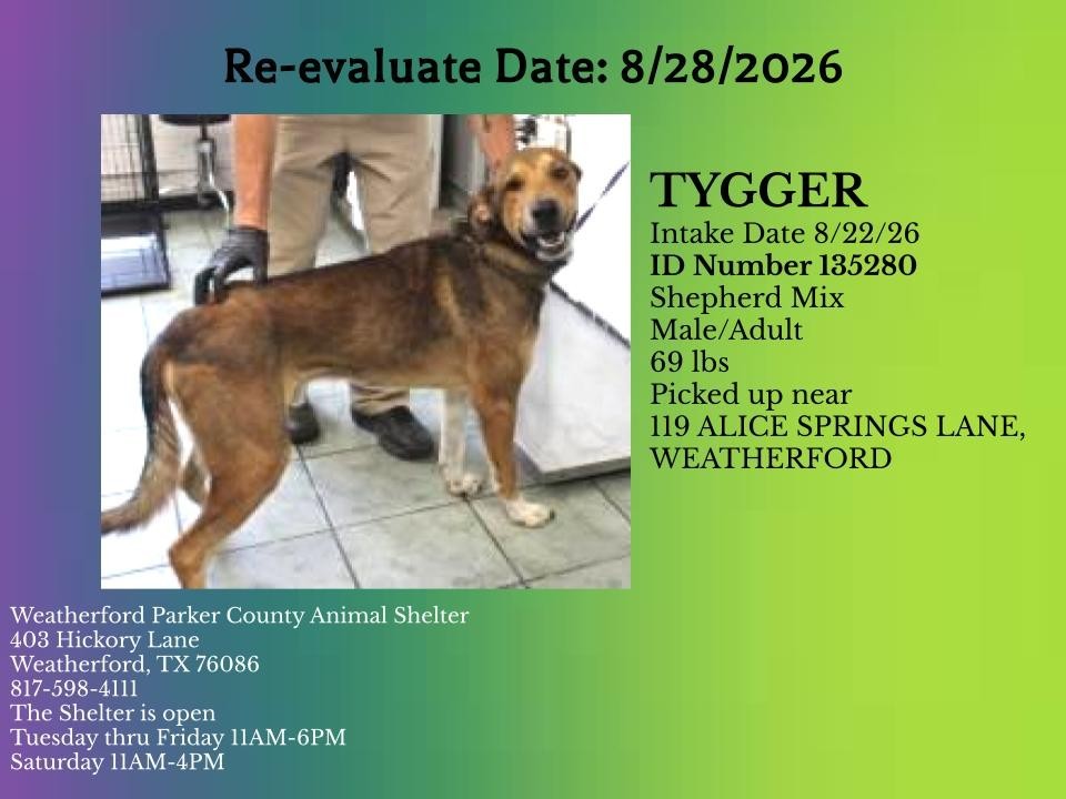 Additional photo of TYGGER