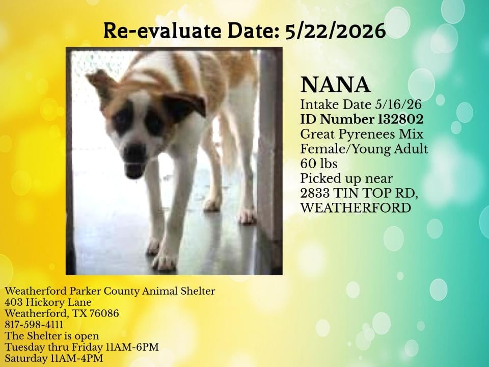 Additional photo of NANA