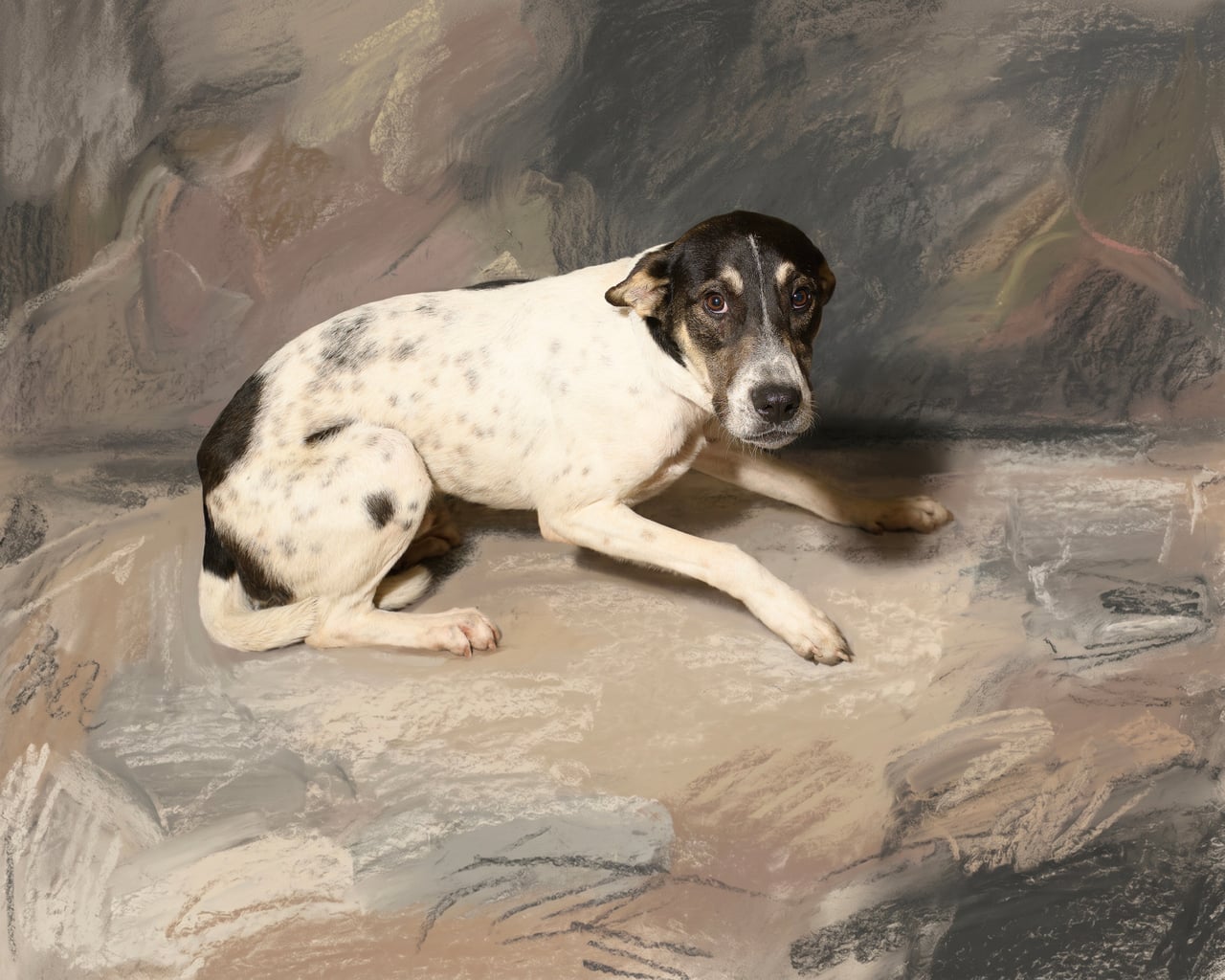ZENO, a Hound
